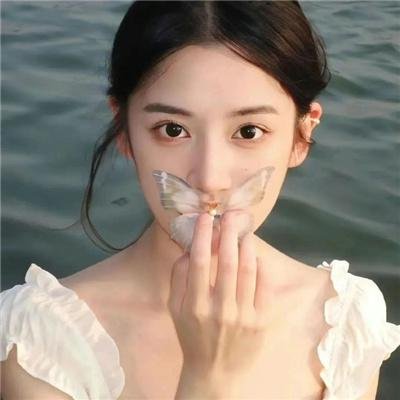 圣诞兔子封面